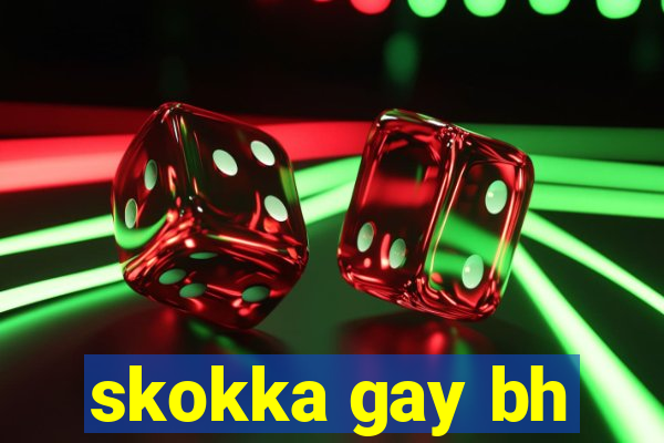 skokka gay bh